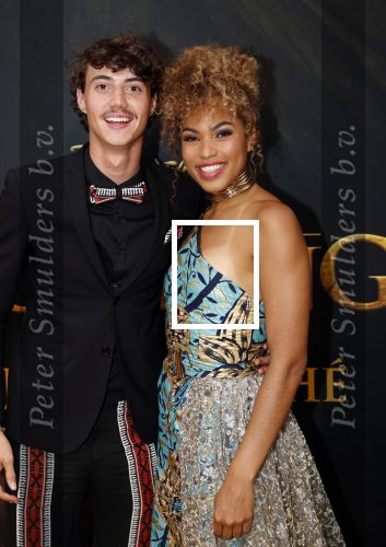 Amsterdam 15 juli 2019
Premiere the lion king in tuschinski. Niek Roozen en Anne Appelo