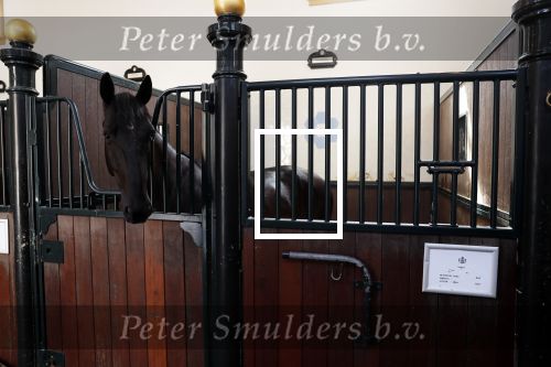 Den Haag 26 juli 2019
Binnenkijken op paleis Noordeinde en bij de koninklijke stallen met Frank en Rogier van het sbs6 programma paleis voor een prikkie. paard Volkert