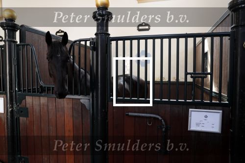 Den Haag 26 juli 2019
Binnenkijken op paleis Noordeinde en bij de koninklijke stallen met Frank en Rogier van het sbs6 programma paleis voor een prikkie. paard Volkert