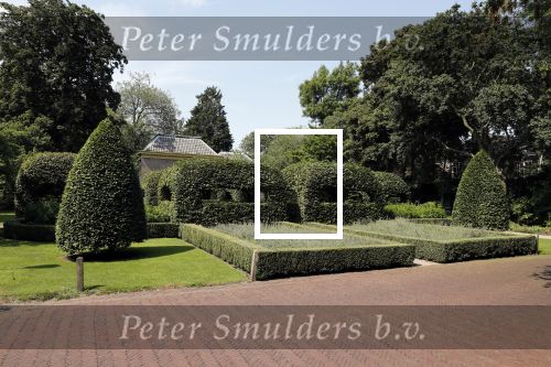 Den Haag 26 juli 2019
Binnenkijken op paleis Noordeinde en bij de koninklijke stallen met Frank en Rogier van het sbs6 programma paleis voor een prikkie.