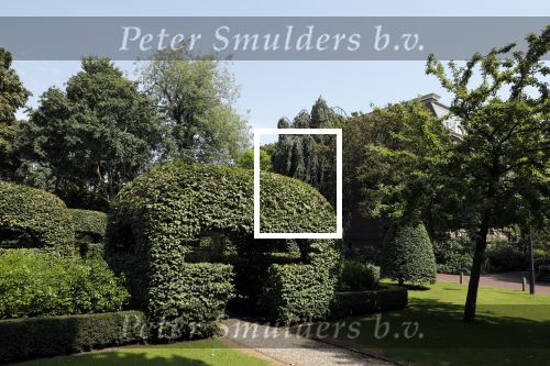 Den Haag 26 juli 2019
Binnenkijken op paleis Noordeinde en bij de koninklijke stallen met Frank en Rogier van het sbs6 programma paleis voor een prikkie.