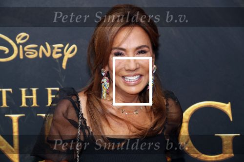 Amsterdam 15 juli 2019
Premiere the lion king in tuschinski. Patty Brard