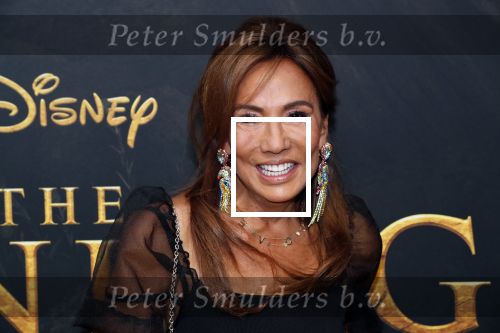 Amsterdam 15 juli 2019
Premiere the lion king in tuschinski. Patty Brard