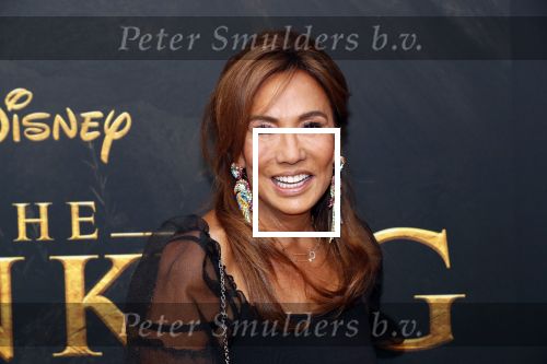 Amsterdam 15 juli 2019
Premiere the lion king in tuschinski. Patty Brard