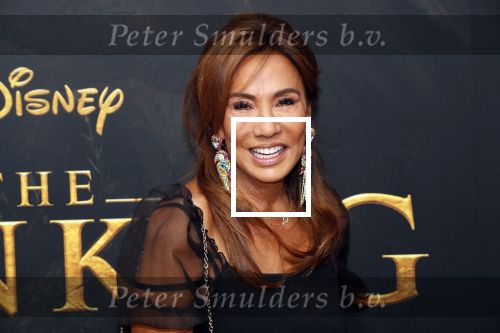 Amsterdam 15 juli 2019
Premiere the lion king in tuschinski. Patty Brard