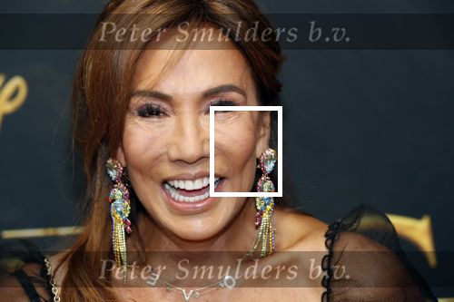 Amsterdam 15 juli 2019
Premiere the lion king in tuschinski. Patty Brard