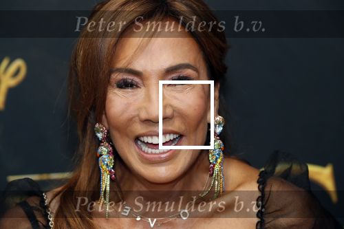 Amsterdam 15 juli 2019
Premiere the lion king in tuschinski. Patty Brard