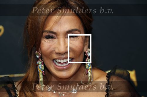 Amsterdam 15 juli 2019
Premiere the lion king in tuschinski. Patty Brard