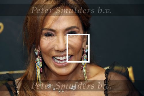 Amsterdam 15 juli 2019
Premiere the lion king in tuschinski. Patty Brard