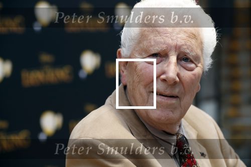 Amsterdam 15 juli 2019
Premiere the lion king in tuschinski. Paul v Gorcum kwam met zijn vrouw