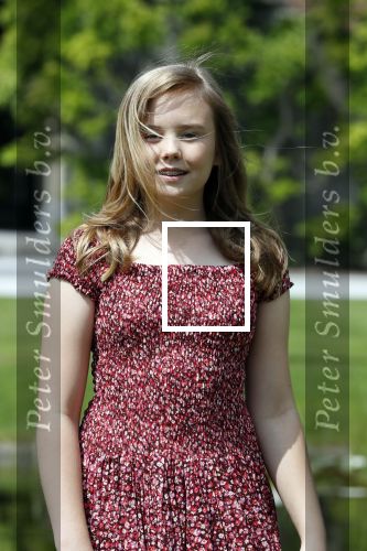 Den Haag 19 juli 2019
Jaarlijkse fotouurtje in de thuisn van Huis ten Bosch . Aanwezig Koning Willem Alexander Koningin Maxima Prinses Amalia Alexia en Ariane.