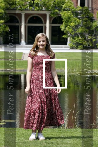 Den Haag 19 juli 2019
Jaarlijkse fotouurtje in de thuisn van Huis ten Bosch . Aanwezig Koning Willem Alexander Koningin Maxima Prinses Amalia Alexia en Ariane.