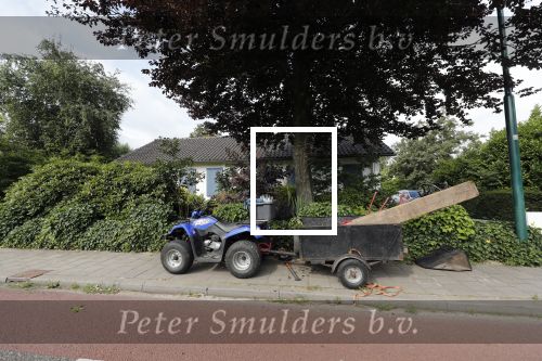 Breukeleveen 1 augustus 2019
Een tuinman maakt de tuin van Prinses Mabel netjes.