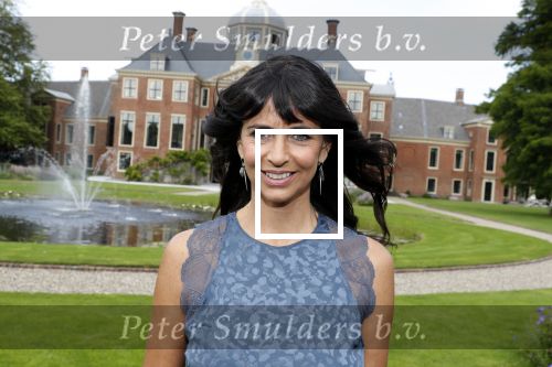 Den Haag 19 juli 2019
Jaarlijkse fotouurtje in de thuisn van Huis ten Bosch . Aanwezig Koning Willem Alexander Koningin Maxima Prinses Amalia Alexia en Ariane. Sandra Schuurhof