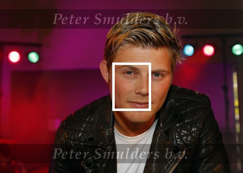 Amsterdam 8 mei 2015  
Cast van Grease met oa Tim Douwsma