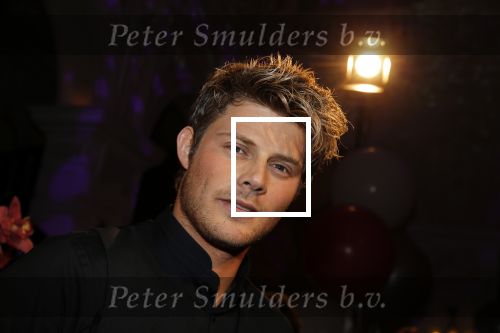 Amsterdam 18 januari 2016
Uitreiking Beau monde awards in het Amstel Hotel.
Tim Douwsma