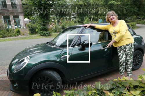 Muiderberg 15 juli 2019
Viola Holt.