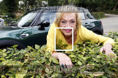 Muiderberg 15 juli 2019
Viola Holt.