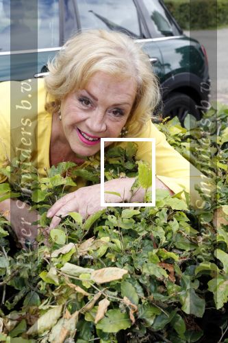 Muiderberg 15 juli 2019
Viola Holt.