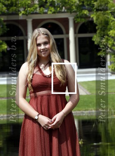 Den Haag 19 juli 2019
Jaarlijkse fotouurtje in de thuisn van Huis ten Bosch . Aanwezig Koning Willem Alexander Koningin Maxima Prinses Amalia Alexia en Ariane.