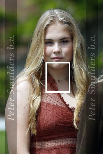 Den Haag 19 juli 2019
Jaarlijkse fotouurtje in de thuisn van Huis ten Bosch . Aanwezig Koning Willem Alexander Koningin Maxima Prinses Amalia Alexia en Ariane.