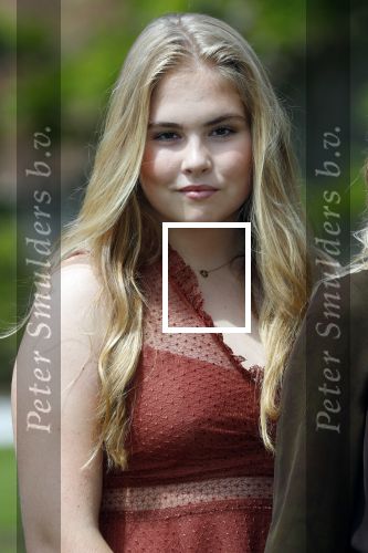 Den Haag 19 juli 2019
Jaarlijkse fotouurtje in de thuisn van Huis ten Bosch . Aanwezig Koning Willem Alexander Koningin Maxima Prinses Amalia Alexia en Ariane.