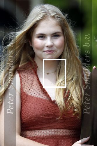Den Haag 19 juli 2019
Jaarlijkse fotouurtje in de thuisn van Huis ten Bosch . Aanwezig Koning Willem Alexander Koningin Maxima Prinses Amalia Alexia en Ariane.