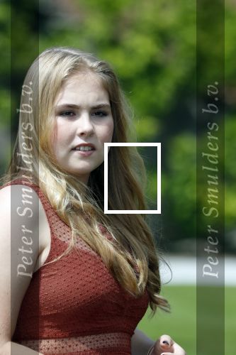 Den Haag 19 juli 2019
Jaarlijkse fotouurtje in de thuisn van Huis ten Bosch . Aanwezig Koning Willem Alexander Koningin Maxima Prinses Amalia Alexia en Ariane.