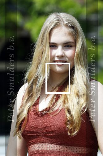 Den Haag 19 juli 2019
Jaarlijkse fotouurtje in de thuisn van Huis ten Bosch . Aanwezig Koning Willem Alexander Koningin Maxima Prinses Amalia Alexia en Ariane.
