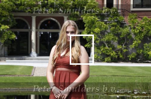 Den Haag 19 juli 2019
Jaarlijkse fotouurtje in de thuisn van Huis ten Bosch . Aanwezig Koning Willem Alexander Koningin Maxima Prinses Amalia Alexia en Ariane.
