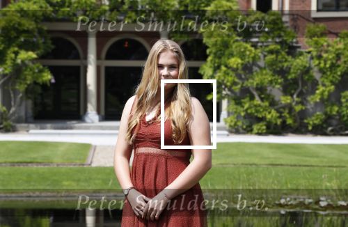 Den Haag 19 juli 2019
Jaarlijkse fotouurtje in de thuisn van Huis ten Bosch . Aanwezig Koning Willem Alexander Koningin Maxima Prinses Amalia Alexia en Ariane.