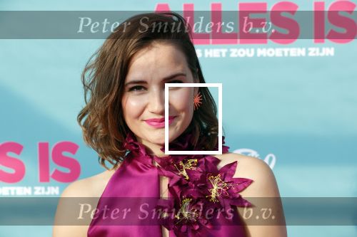 Amsterdam 29 juli 2020
Premiere alles is zoals het zou moeten zijn in euroscoop, De film is naar een boek van Daphne Deckers. Barbara Sloesen kwam met haar vriend en haar ouders