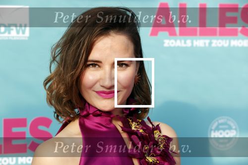 Amsterdam 29 juli 2020
Premiere alles is zoals het zou moeten zijn in euroscoop, De film is naar een boek van Daphne Deckers. Barbara Sloesen kwam met haar vriend en haar ouders