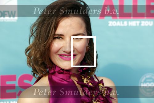Amsterdam 29 juli 2020
Premiere alles is zoals het zou moeten zijn in euroscoop, De film is naar een boek van Daphne Deckers. Barbara Sloesen kwam met haar vriend en haar ouders