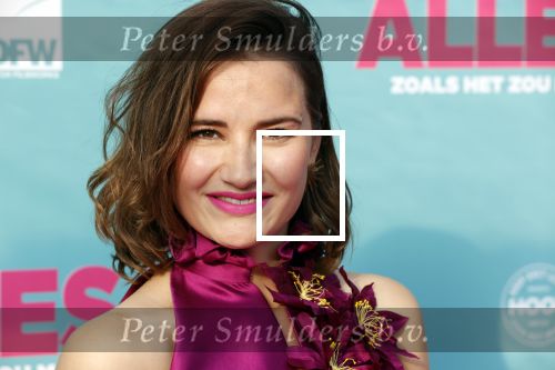 Amsterdam 29 juli 2020
Premiere alles is zoals het zou moeten zijn in euroscoop, De film is naar een boek van Daphne Deckers. Barbara Sloesen kwam met haar vriend en haar ouders