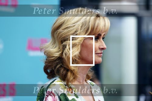 Amsterdam 29 juli 2020
Premiere alles is zoals het zou moeten zijn in euroscoop, De film is naar een boek van Daphne Deckers. Daphne kwam met haar man Richard Krajicek hun kinderen Emma en Alec en de vriendin van Alec