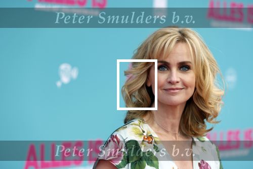 Amsterdam 29 juli 2020
Premiere alles is zoals het zou moeten zijn in euroscoop, De film is naar een boek van Daphne Deckers. Daphne kwam met haar man Richard Krajicek hun kinderen Emma en Alec en de vriendin van Alec