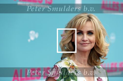 Amsterdam 29 juli 2020
Premiere alles is zoals het zou moeten zijn in euroscoop, De film is naar een boek van Daphne Deckers. Daphne kwam met haar man Richard Krajicek hun kinderen Emma en Alec en de vriendin van Alec