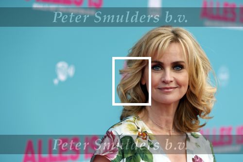 Amsterdam 29 juli 2020
Premiere alles is zoals het zou moeten zijn in euroscoop, De film is naar een boek van Daphne Deckers. Daphne kwam met haar man Richard Krajicek hun kinderen Emma en Alec en de vriendin van Alec