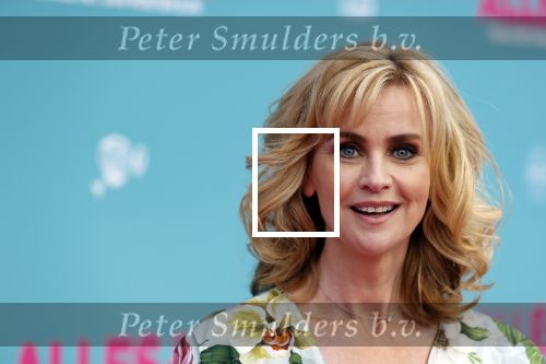 Amsterdam 29 juli 2020
Premiere alles is zoals het zou moeten zijn in euroscoop, De film is naar een boek van Daphne Deckers. Daphne kwam met haar man Richard Krajicek hun kinderen Emma en Alec en de vriendin van Alec