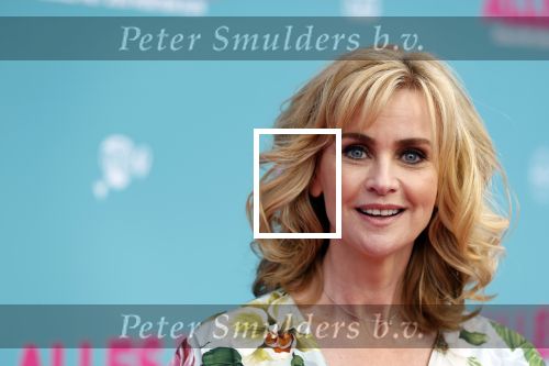 Amsterdam 29 juli 2020
Premiere alles is zoals het zou moeten zijn in euroscoop, De film is naar een boek van Daphne Deckers. Daphne kwam met haar man Richard Krajicek hun kinderen Emma en Alec en de vriendin van Alec