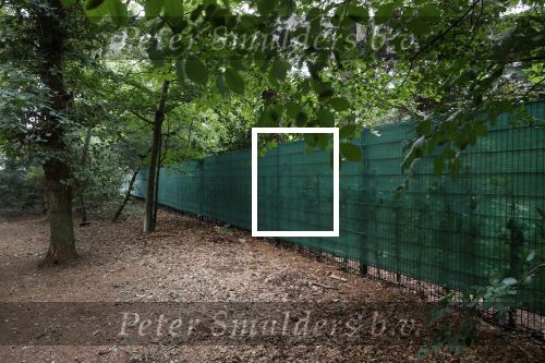 Huizen 28 juli 2020
De bouw van het huis / villa van Doutzen Kroes en Sunnery James is begonnen.