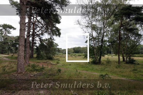 Huizen 28 juli 2020
De bouw van het huis / villa van Doutzen Kroes en Sunnery James is begonnen.