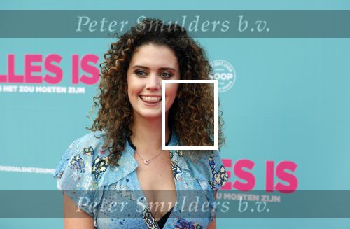 Amsterdam 29 juli 2020
Premiere alles is zoals het zou moeten zijn in euroscoop, De film is naar een boek van Daphne Deckers. Daphne kwam met haar man Richard Krajicek hun kinderen Emma en Alec en de vriendin van Alec