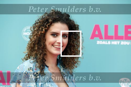 Amsterdam 29 juli 2020
Premiere alles is zoals het zou moeten zijn in euroscoop, De film is naar een boek van Daphne Deckers. Daphne kwam met haar man Richard Krajicek hun kinderen Emma en Alec en de vriendin van Alec