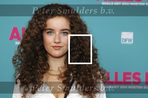 Amsterdam 29 juli 2020
Premiere alles is zoals het zou moeten zijn in euroscoop, De film is naar een boek van Daphne Deckers. Gigi Springer