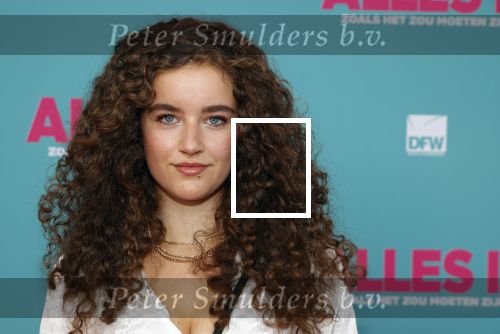Amsterdam 29 juli 2020
Premiere alles is zoals het zou moeten zijn in euroscoop, De film is naar een boek van Daphne Deckers. Gigi Springer