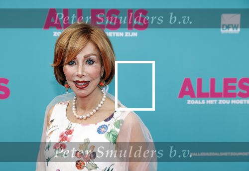 Amsterdam 29 juli 2020
Premiere alles is zoals het zou moeten zijn in euroscoop, De film is naar een boek van Daphne Deckers. Marijke Helwegen kwam met een kennis