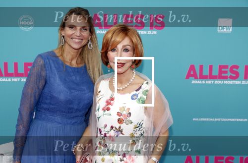 Amsterdam 29 juli 2020
Premiere alles is zoals het zou moeten zijn in euroscoop, De film is naar een boek van Daphne Deckers. Marijke Helwegen kwam met een kennis