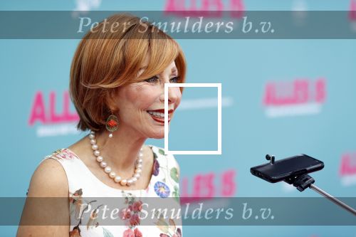 Amsterdam 29 juli 2020
Premiere alles is zoals het zou moeten zijn in euroscoop, De film is naar een boek van Daphne Deckers. Marijke Helwegen kwam met een kennis